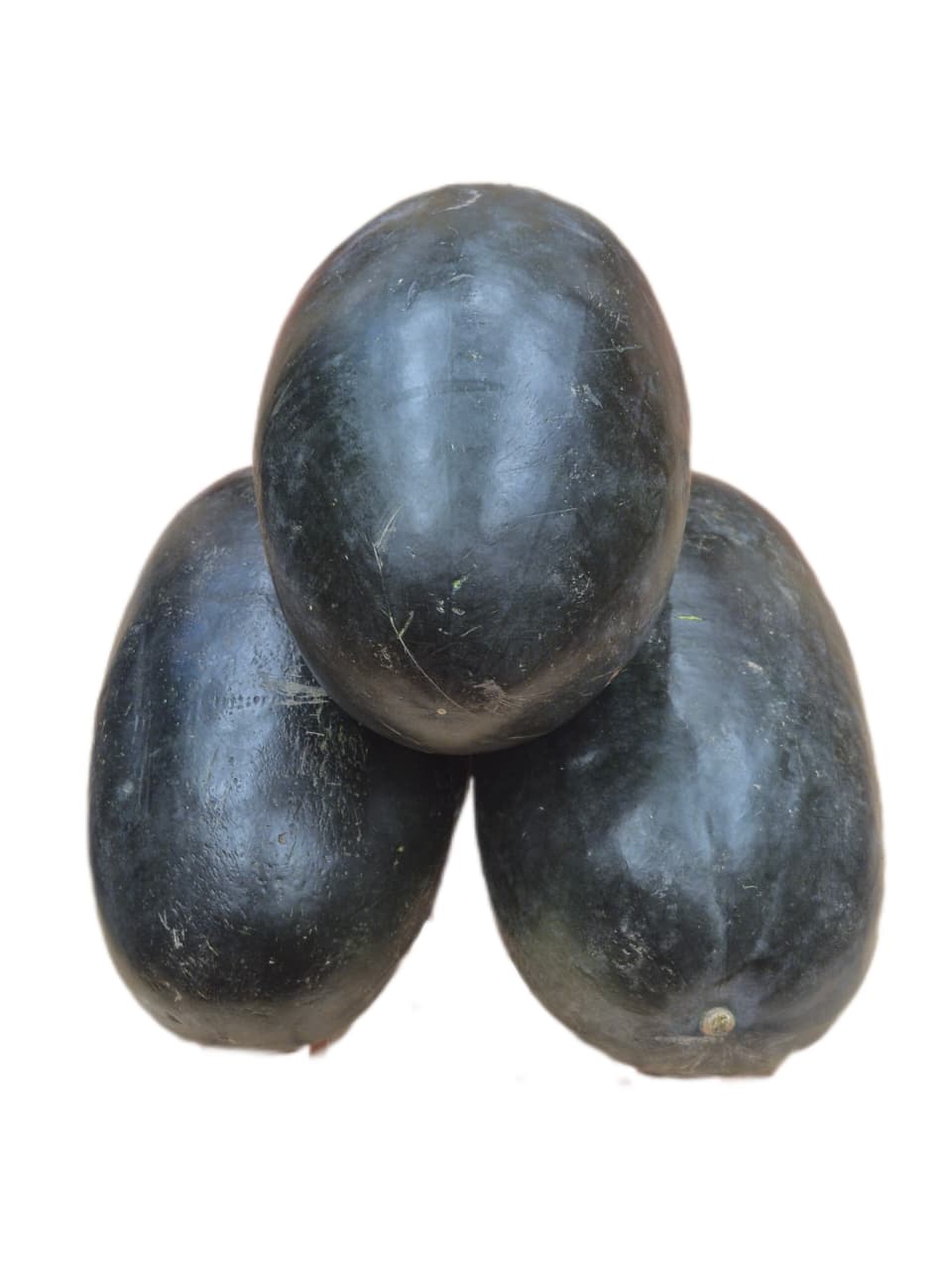 Watermelon (Kiran variety)