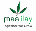Maa ilay
