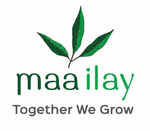 Maa ilay