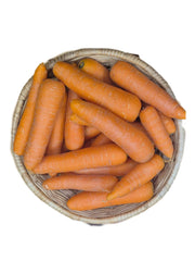 Carrot