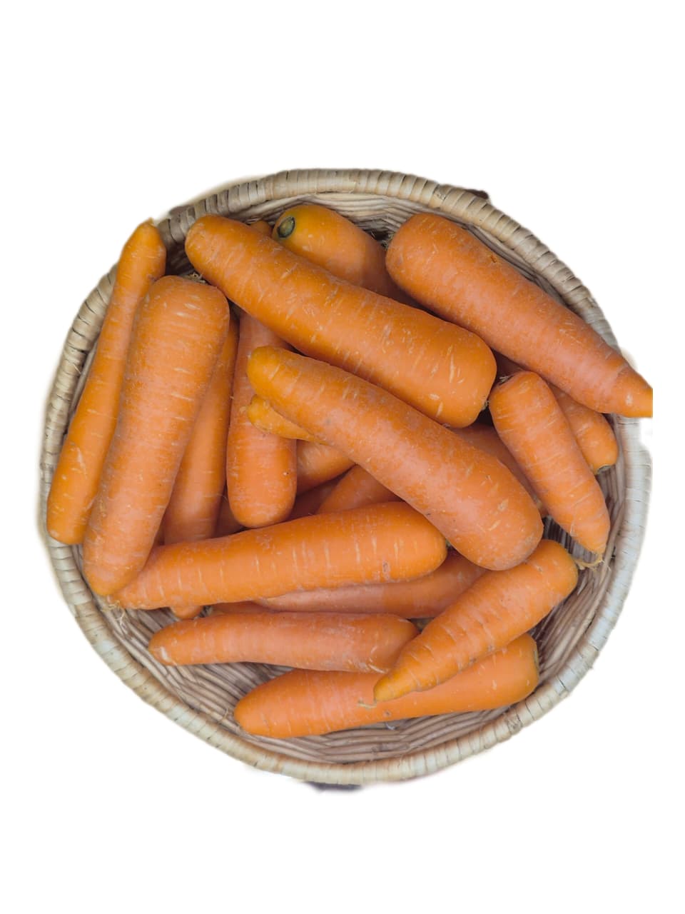 Carrot
