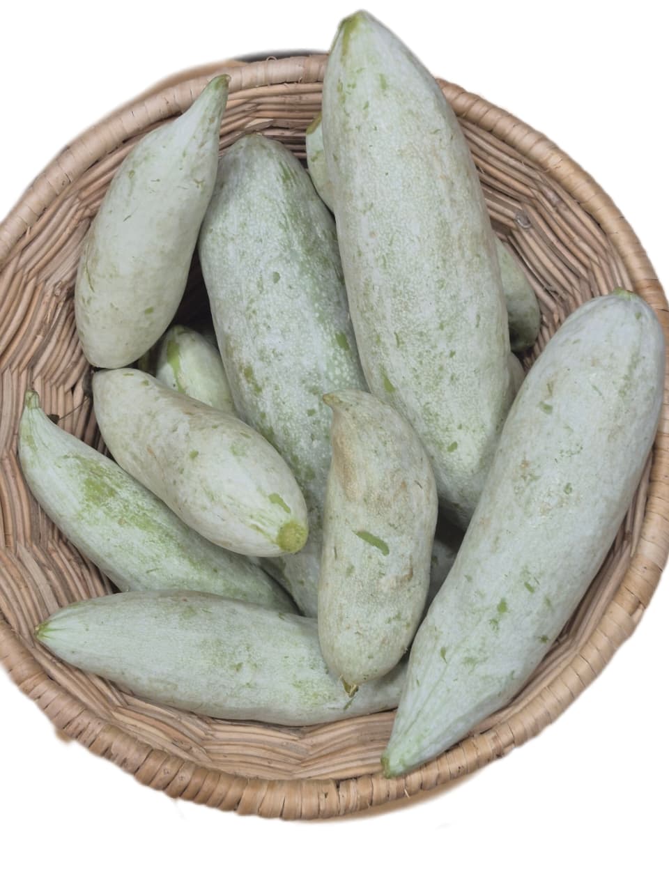 Snake Gourd
