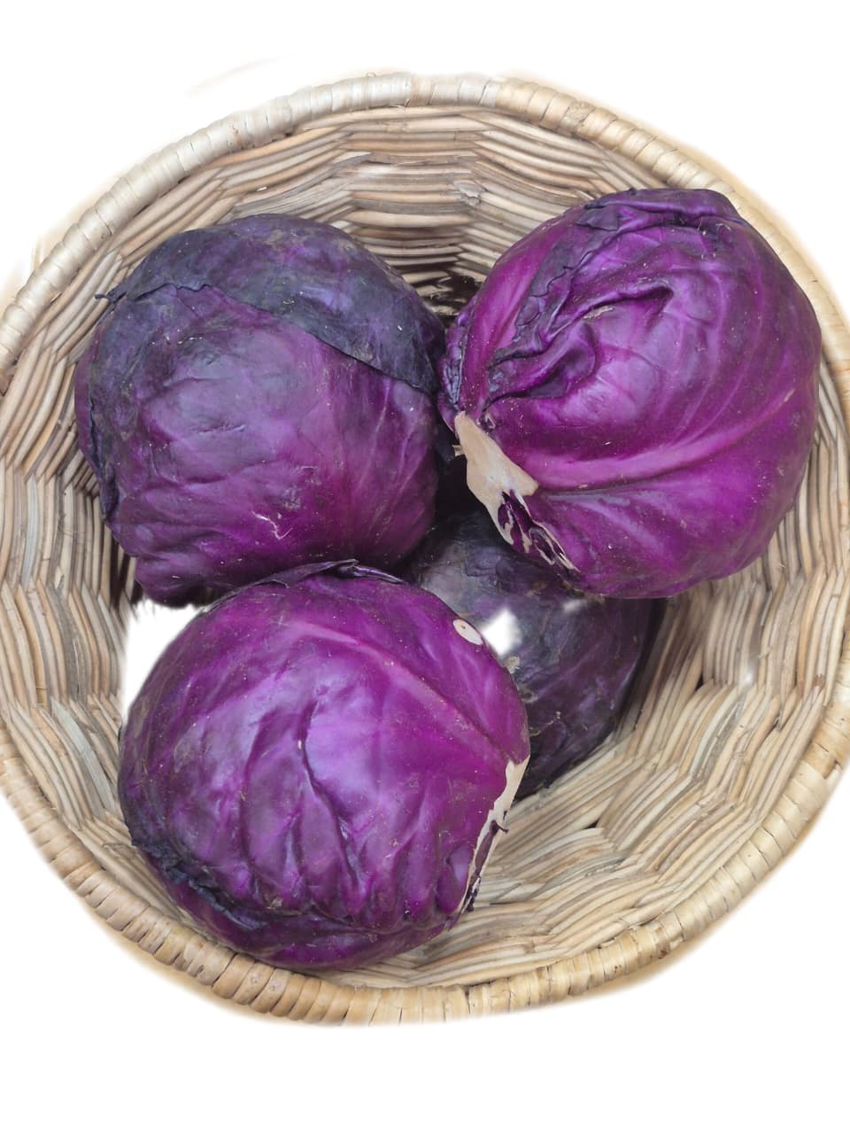Red Cabbage