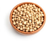Coriander Seeds