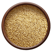 Kambu (Pearl Millet)
