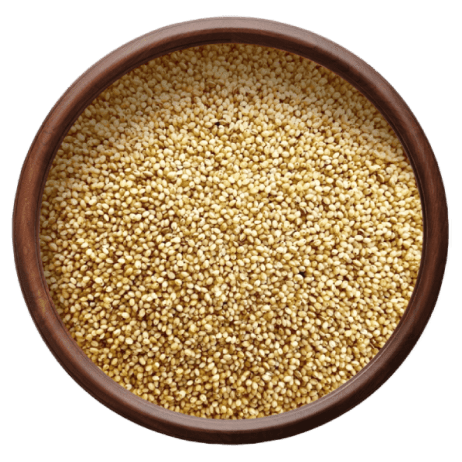 Kambu (Pearl Millet)